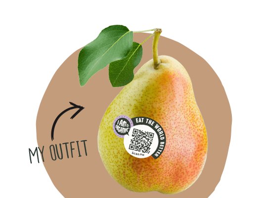 Paspoortkaart Peer 2