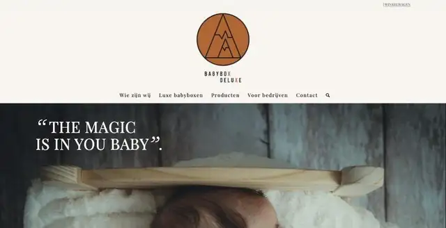 Website van Babybox Deluxe