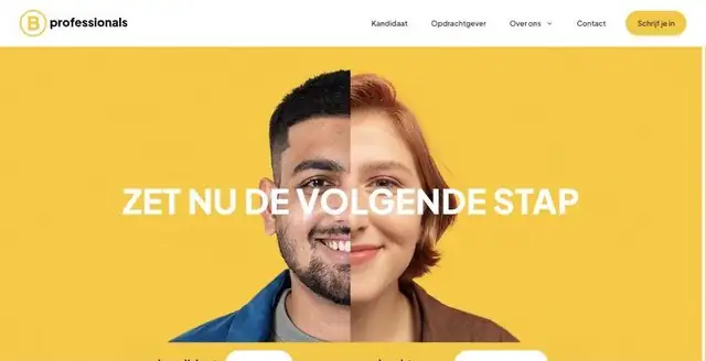 Website van Bprofessionals
