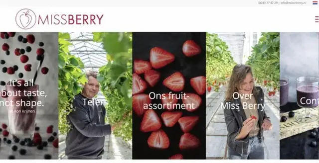 Website van Miss Berry